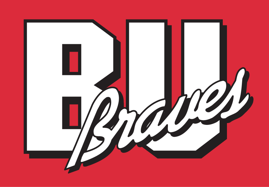 Bradley Braves 1989-2011 Secondary Logo DIY iron on transfer (heat transfer)